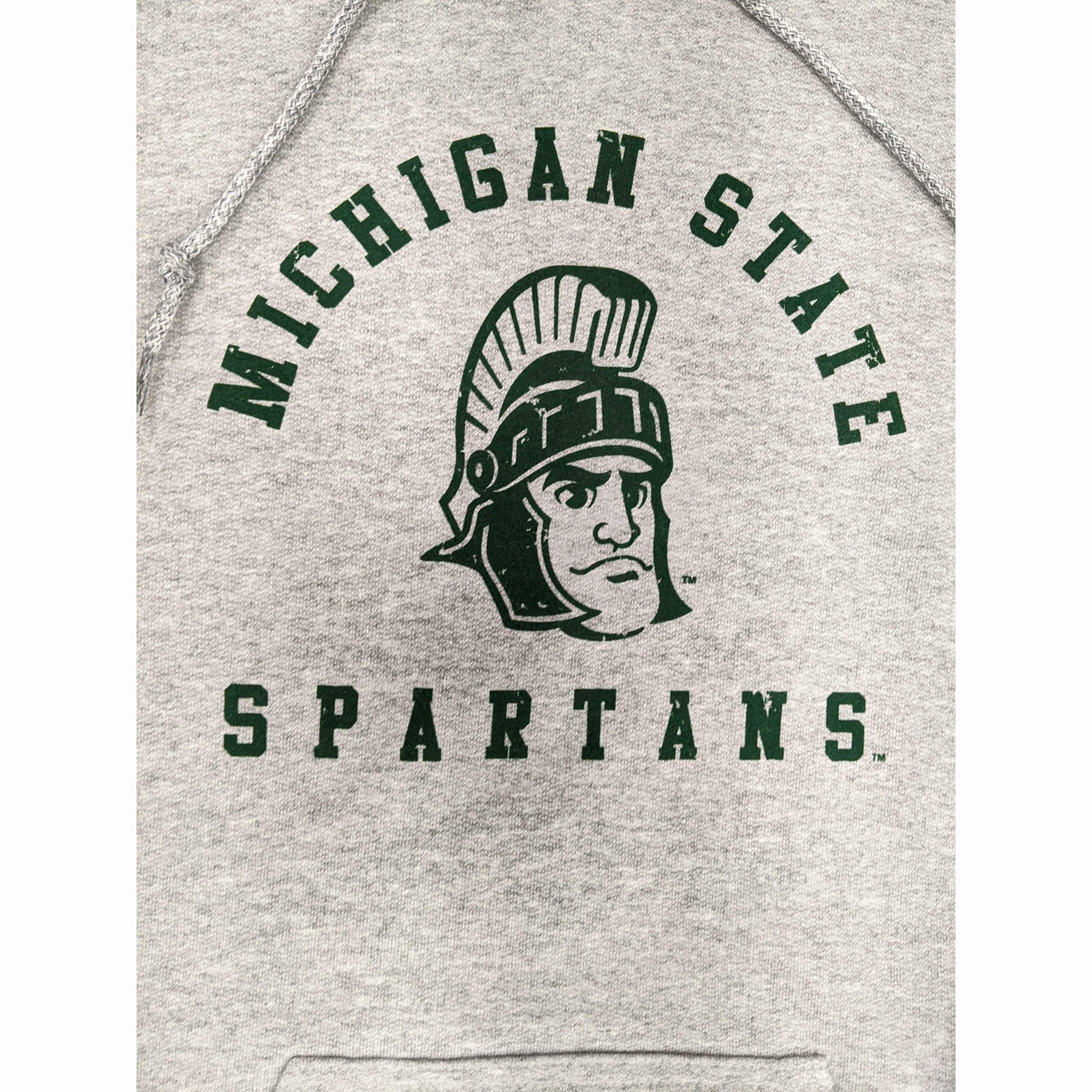Sparty Gildan Hoodie - Gray